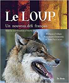 Bougrain dubourg Loup